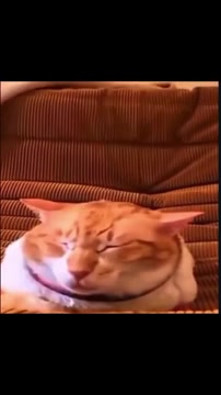 me when trying to stack but NOM NOM