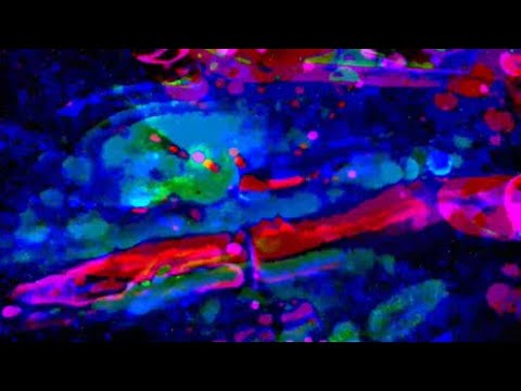 d2Vla2VuZCB2aWJlc3ogaG91cy BtaXggPi08IGVycm1tb TQzNTYzbW1tdWhyND g5M2h1aWpua20=